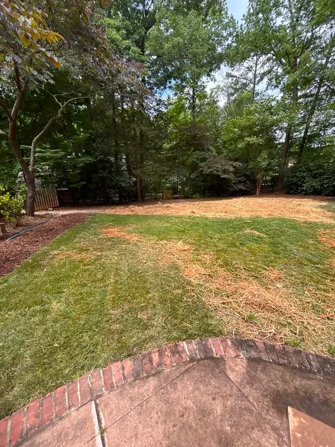 Freshly laid backyard sod lawn edged by a curved brick patio