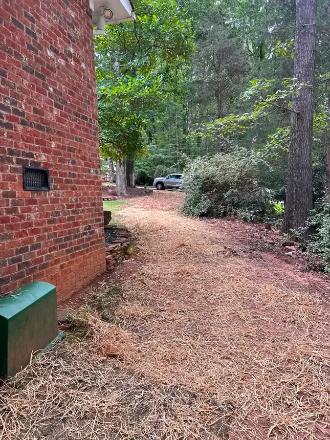 Fresh pine-straw beds running along the side of a brick home