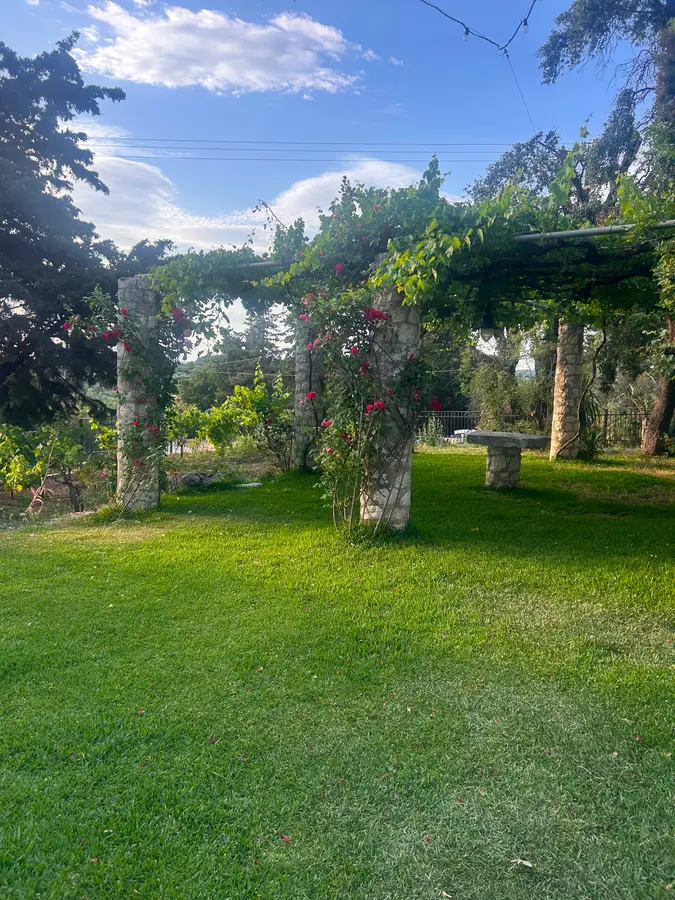 Stone-column pergola draped in climbing roses and grapevine over a manicured lawn